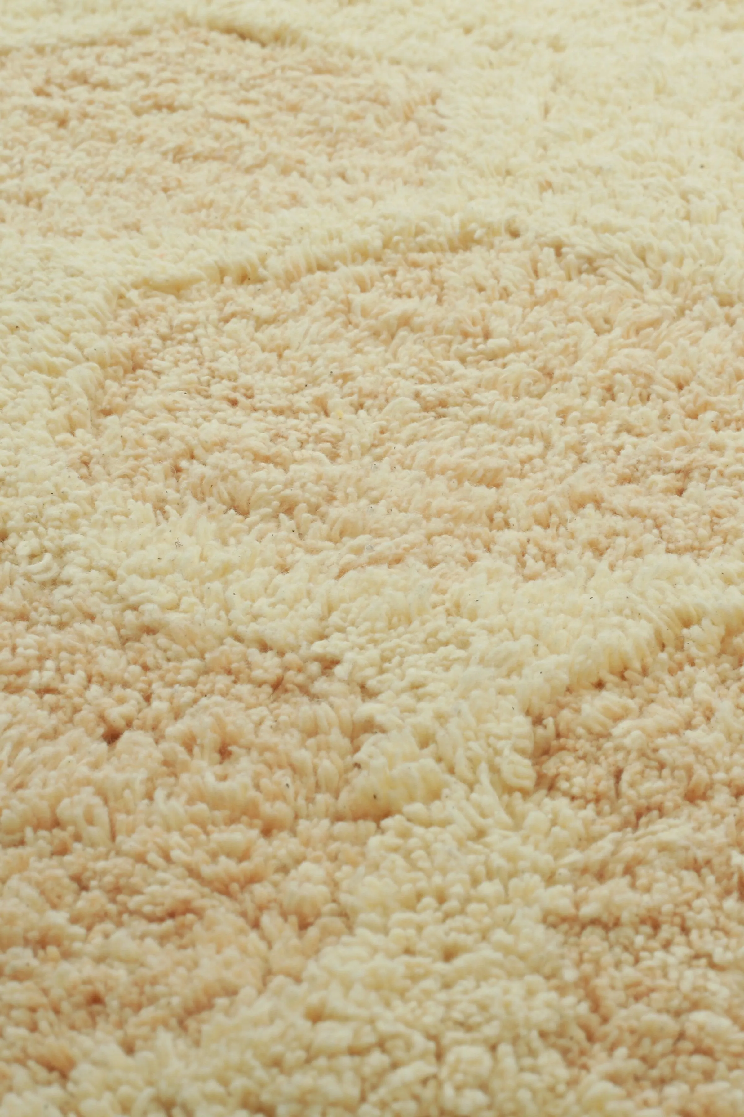 WASHABLE AREA RUG SWEET HONEY